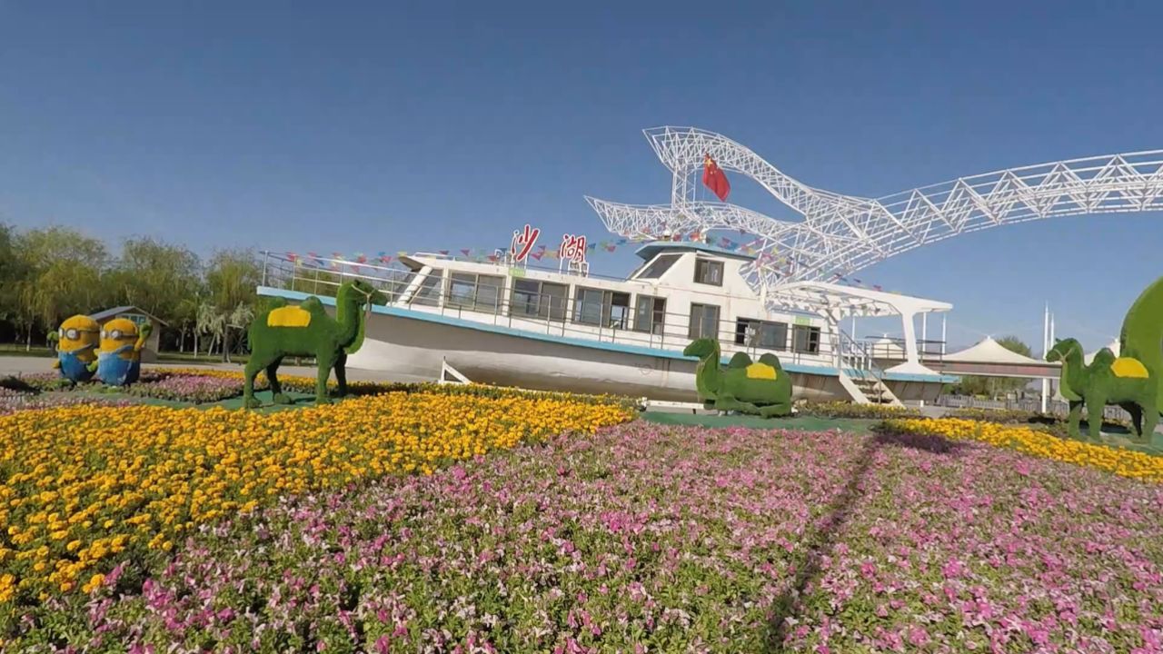 大西北环线旅游第一站带大家逛一逛宁夏沙湖景区