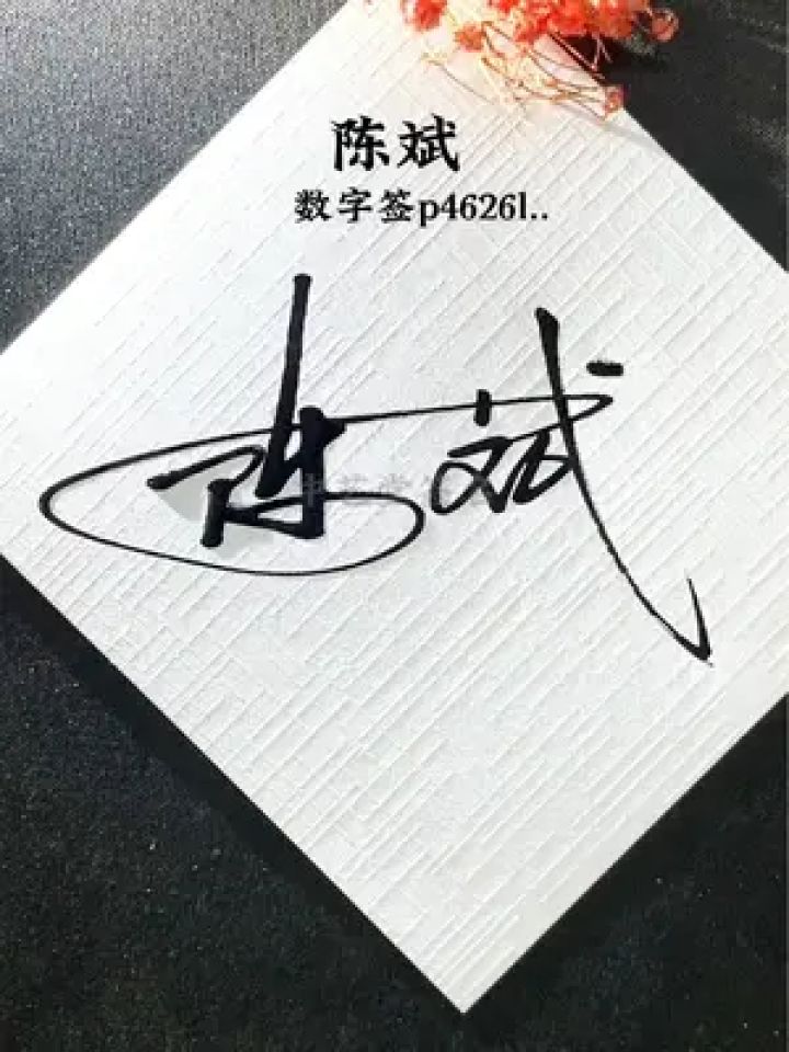 独特的设计让人眼前一亮,简单好看的签名都喜欢,你要设计吗?