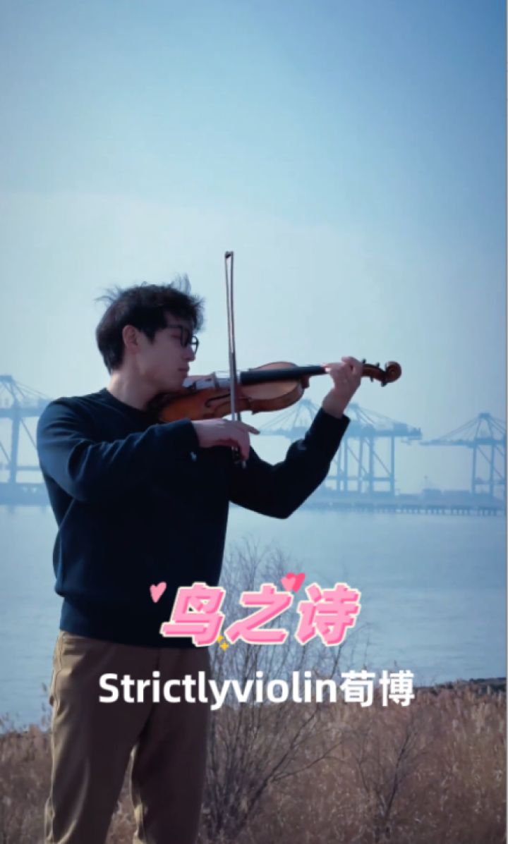 鸟之诗.荀博小提琴bgm