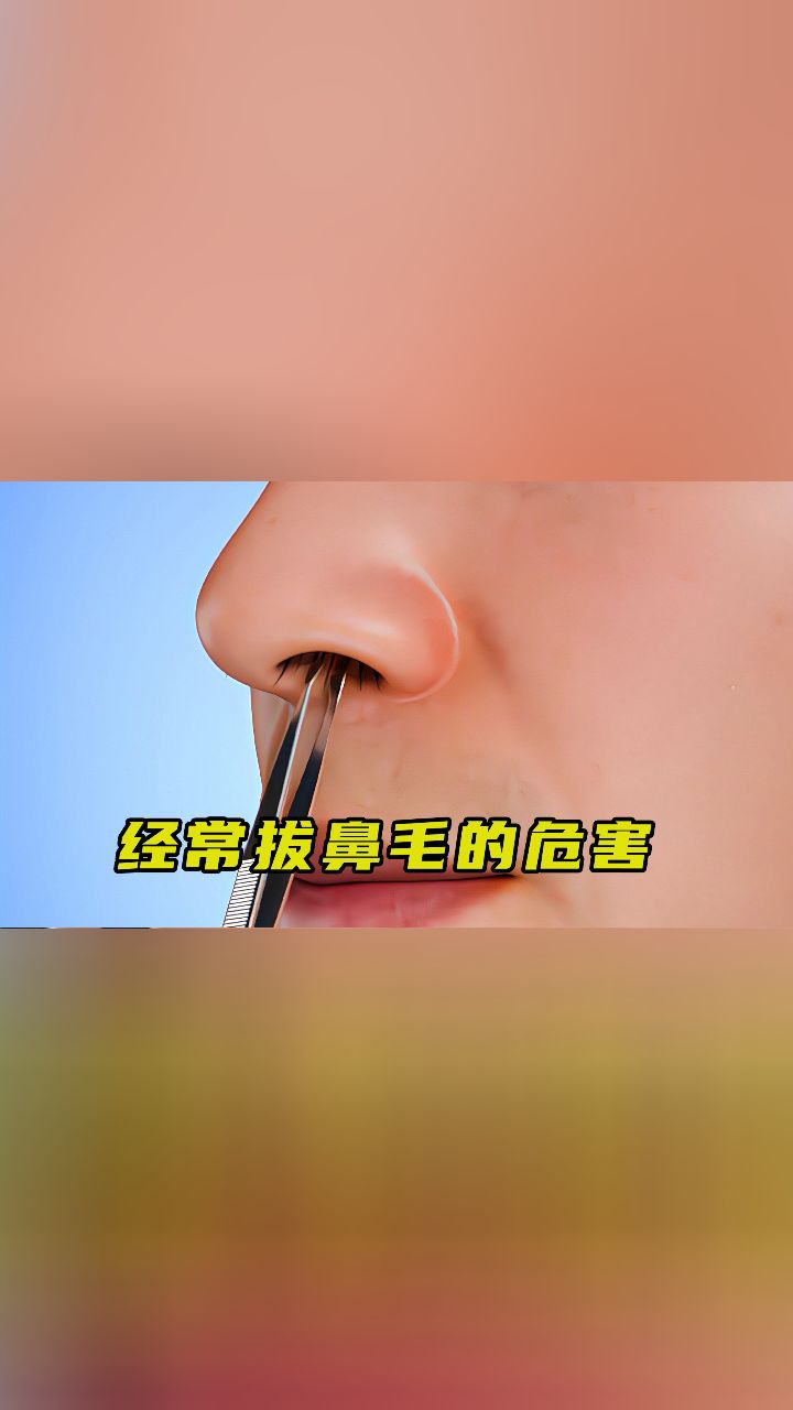 鼻毛的作用图片