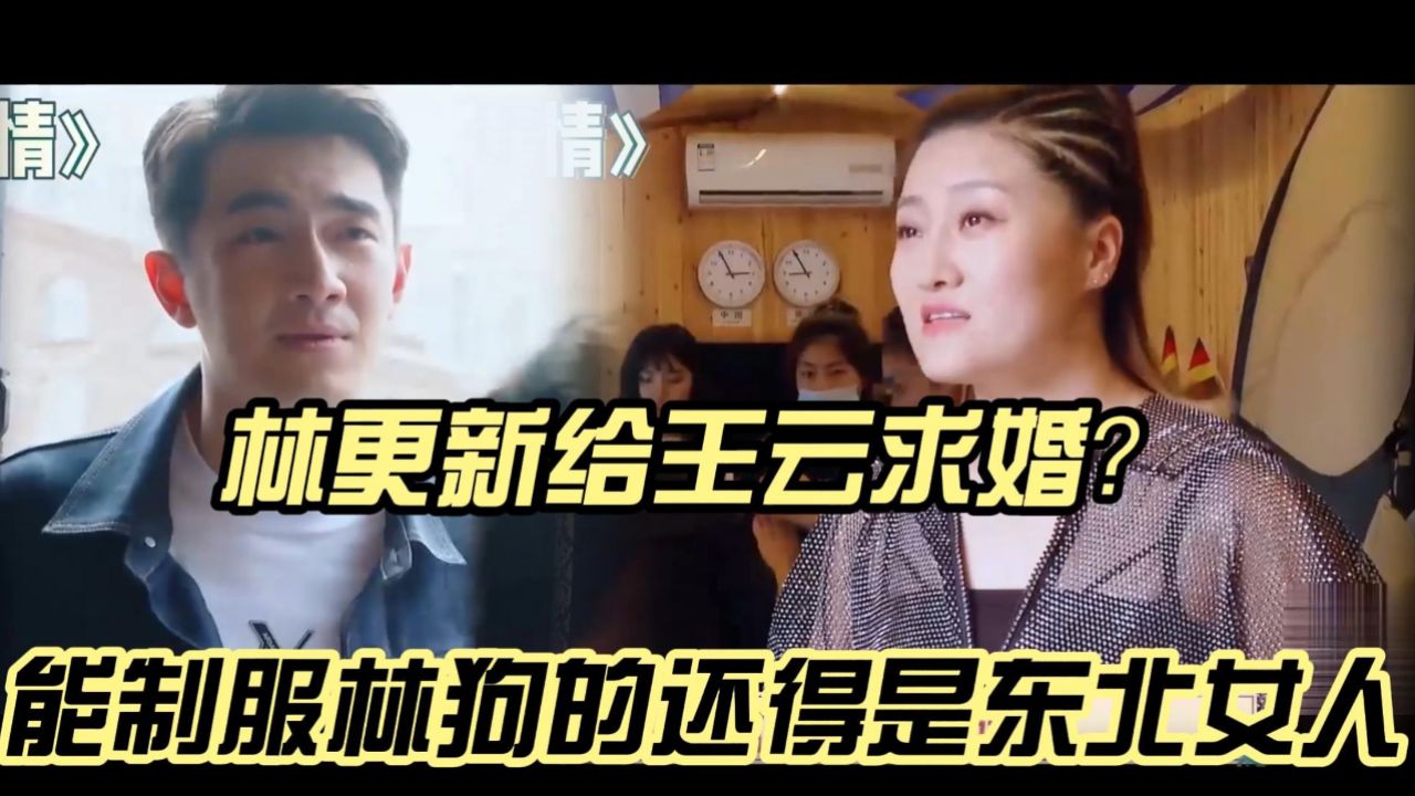 林更新向王云求婚却反被调戏,能驾驭得了林狗的还得是东北女人!