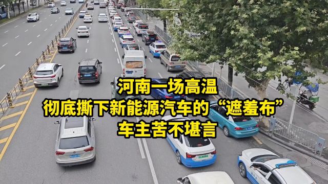 河南一场高温,彻底撕下新能源汽车的“遮羞布”,车主苦不堪言