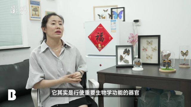 上海纽约大学新展“时间的幼虫”,艺术与科学相逢