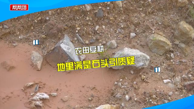 复耕农田满地石块、建筑渣土?村民愁坏 村委会:历史遗留问题