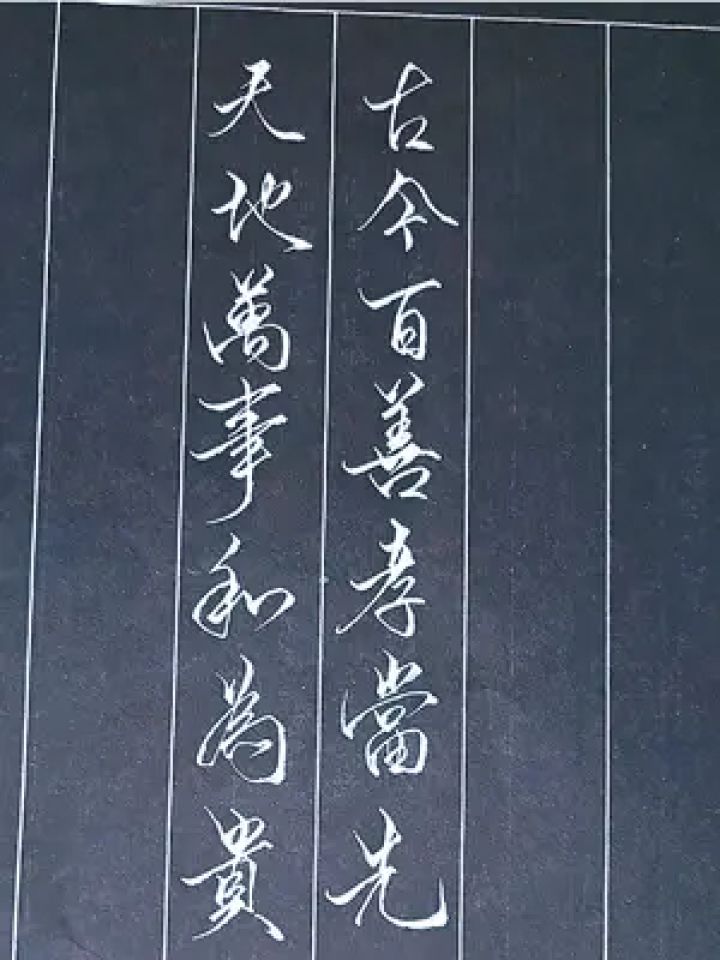 水墨君硬笔行书作品图片