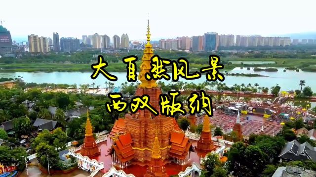 治愈 治愈系 治愈系风景 云南 西双版纳 旅行 旅游 旅途风景 解压 解压视频 音乐 音乐分享 音乐治愈 大自然风景 最美 美景分享 泼水节 少数民族