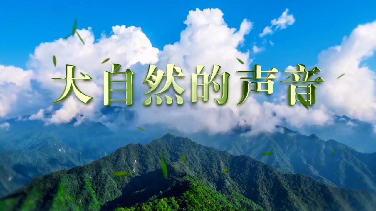 大自然的声音-小学语文课文演讲,少儿演讲口才配乐背景视频