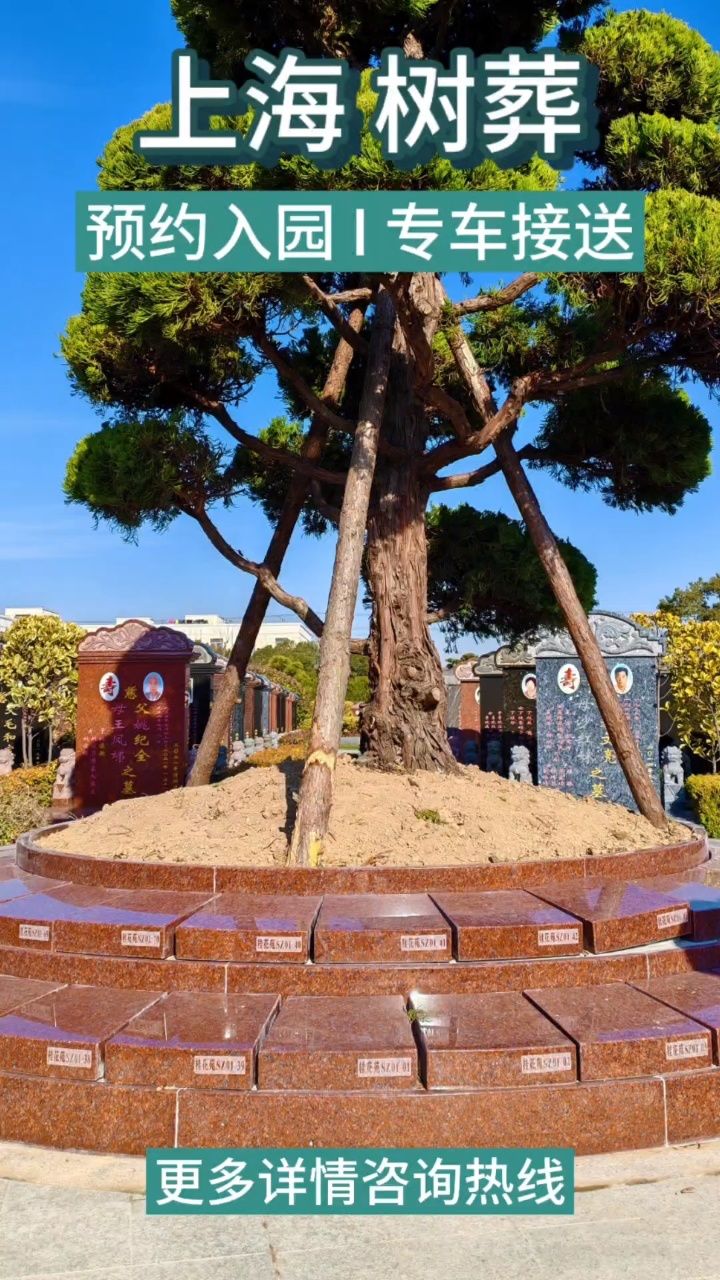 树葬原生态,国家一级公墓,双穴优惠多多,免费专车接送看墓,有需求斯
