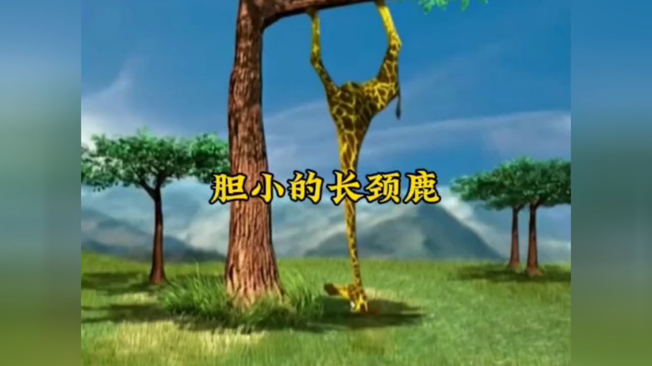 为了吃到树上的野果,长颈鹿费尽千辛万苦