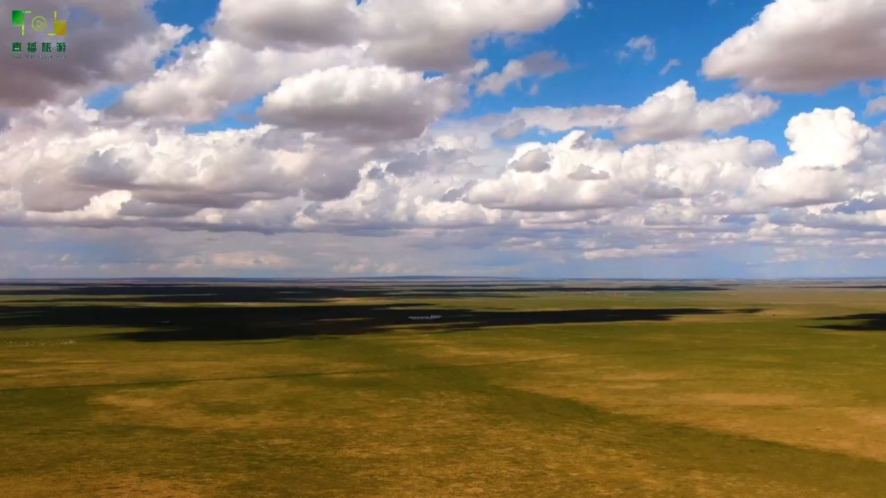 视频:苏尼特右旗草原迎来颜值巅峰 美景如画 风光无限