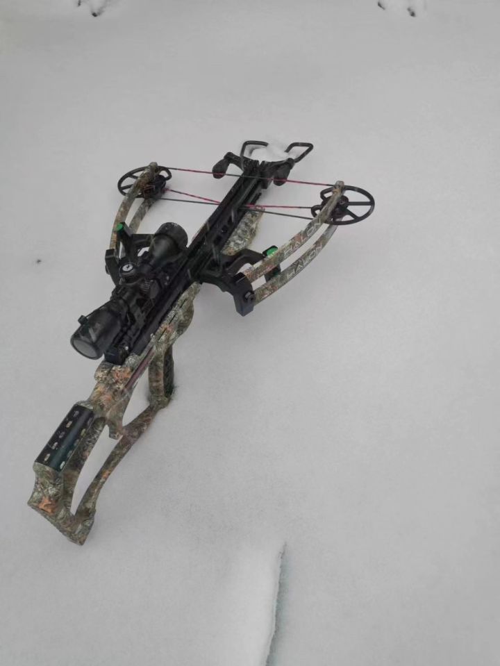 海外拍摄阿斯顿本能450反向复合弩大黑鹰lsg二代欣赏