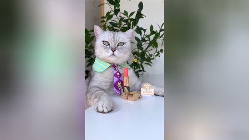 猫王：水果居然可以做口红，颜色还非常好看！