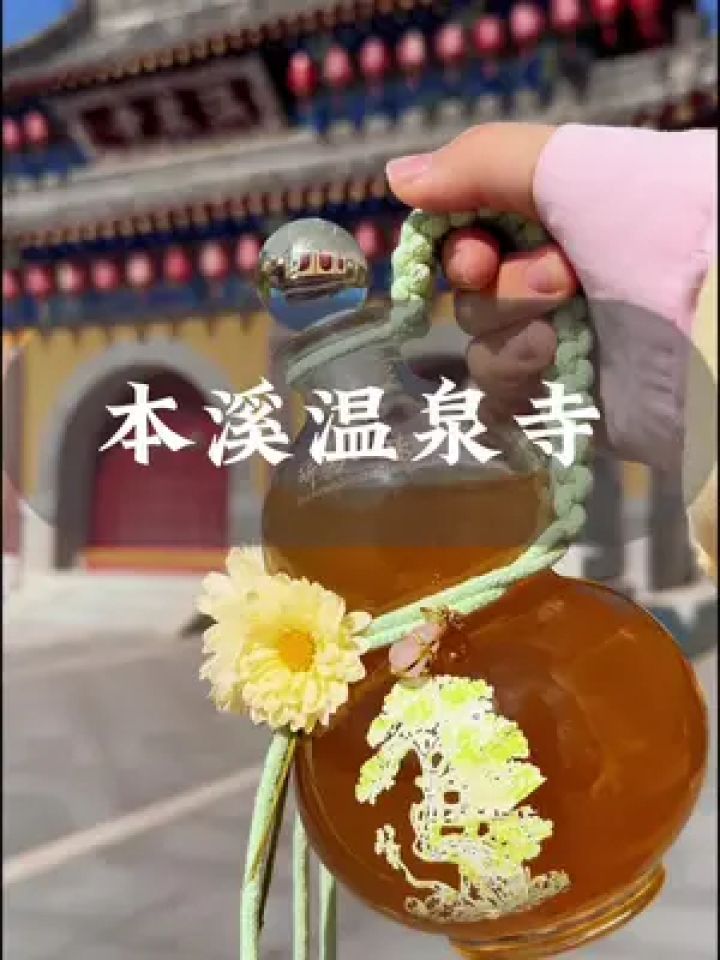 本溪温泉寺日租房图片