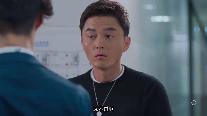 我家无难事[普通话版] 17集