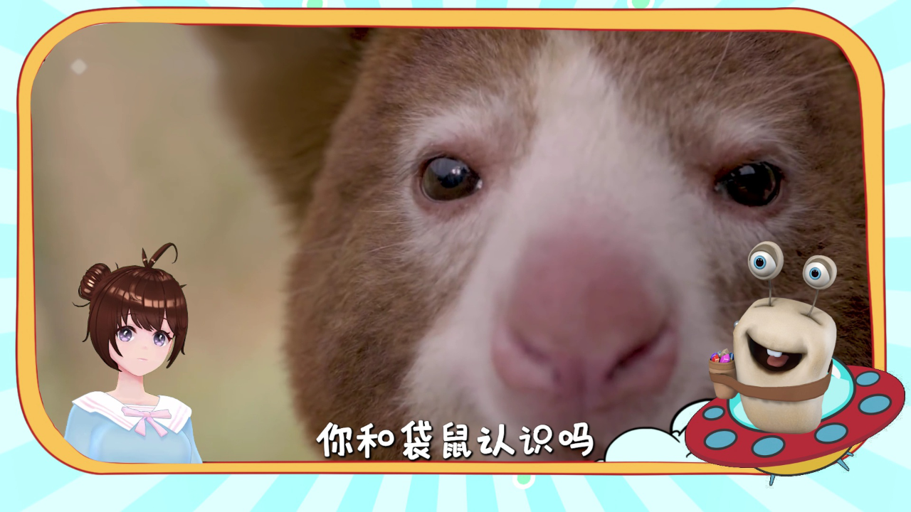 白白侠的动物朋友 8集