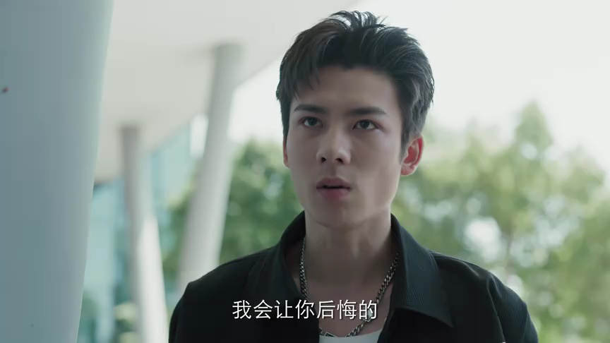 她的轨迹 25集