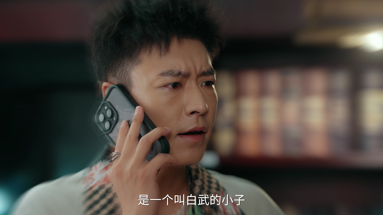 我能预见成功率 25集