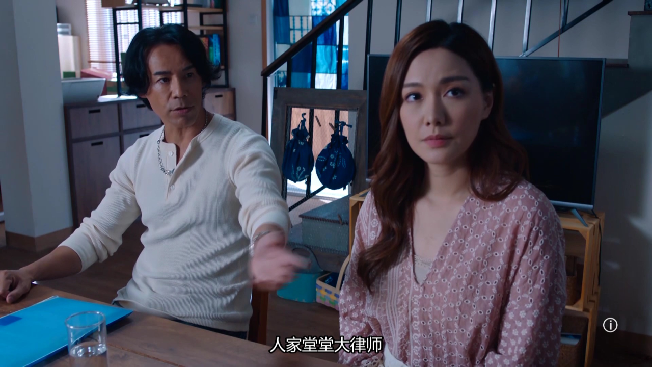 双生陌生人[普通话版] 20集