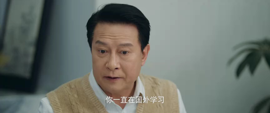 双面繁花 17集