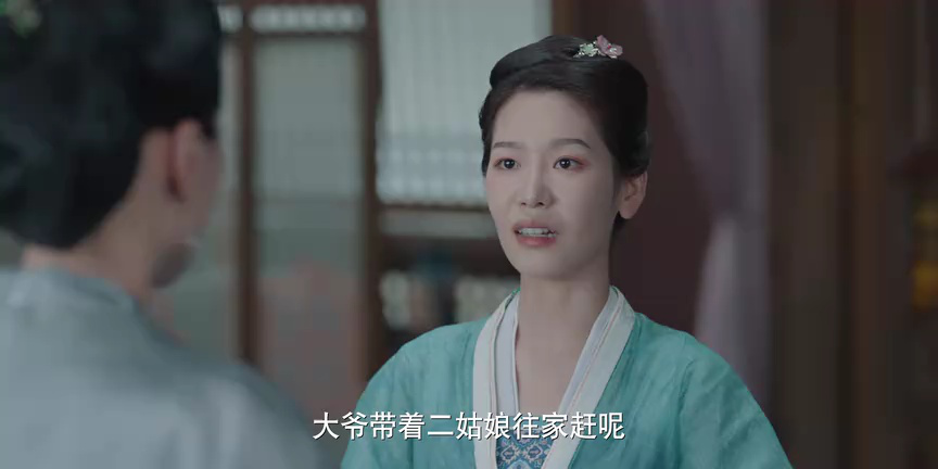 藏珠 17集