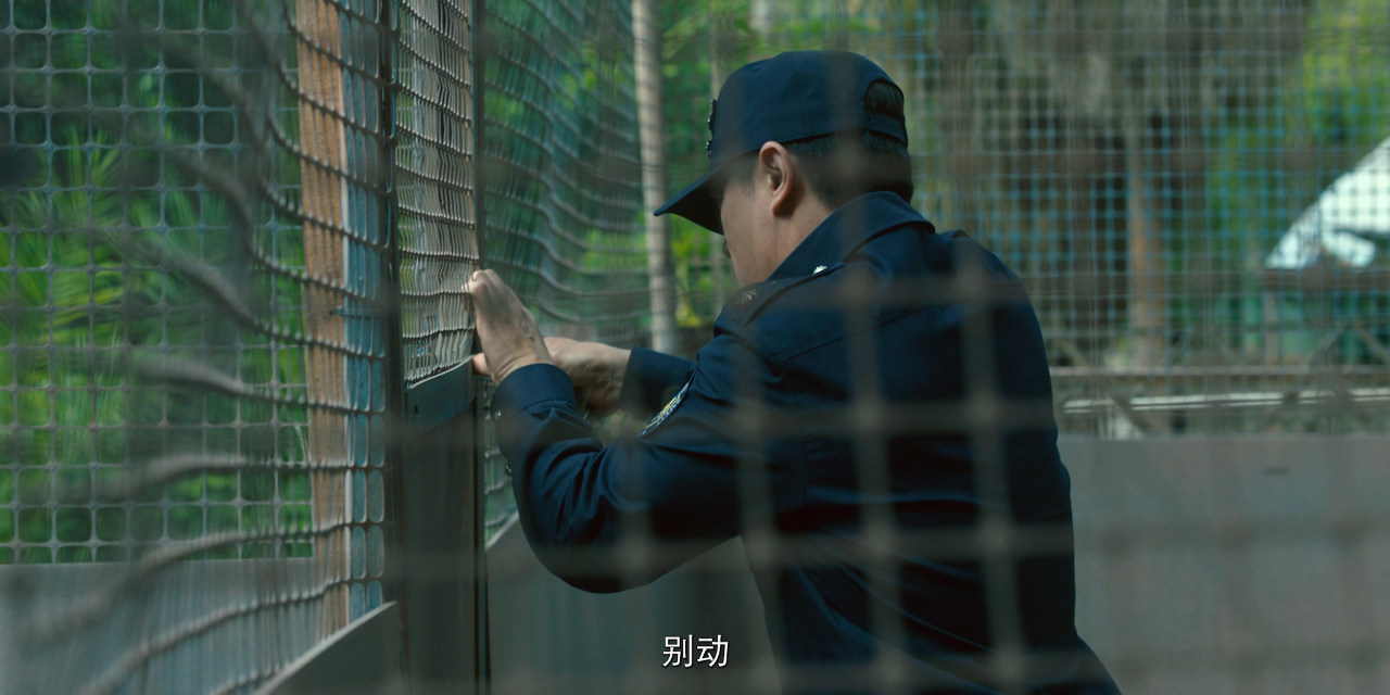 搏忆 11集