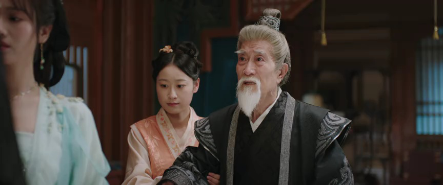 锦绣令 14集