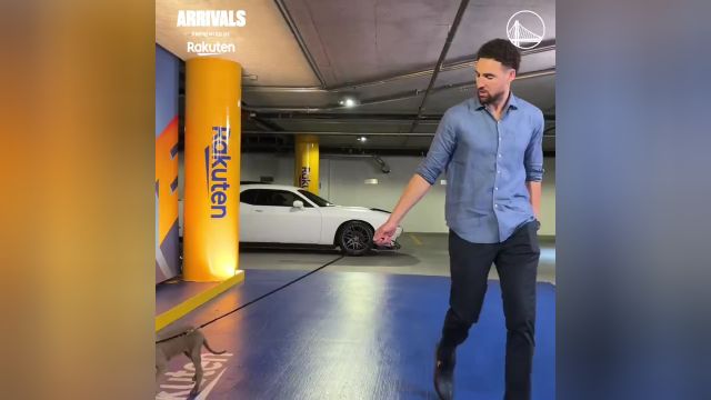 今天是国际小狗节 勇士球员一人带一只小狗入场