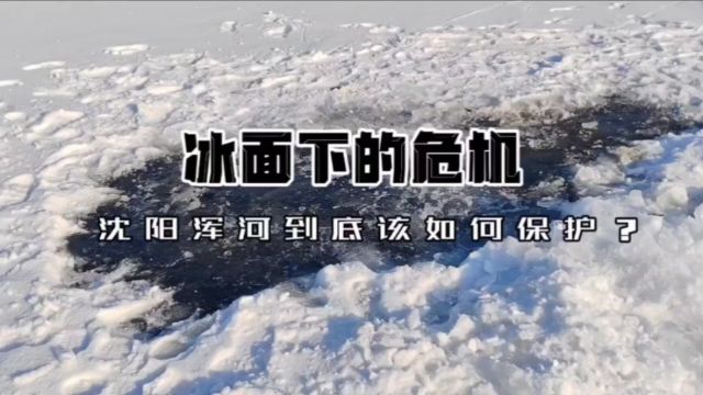 冰面下的危机!沈阳浑河到底该如何保护?