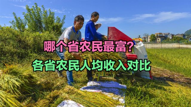 2023年全国各省农村人均收入排名,13地不足2万,看你家乡第几?