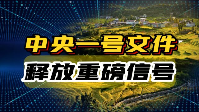 2024年中央一号文件:揭秘农村振兴的新蓝图与农民增收的新路径!