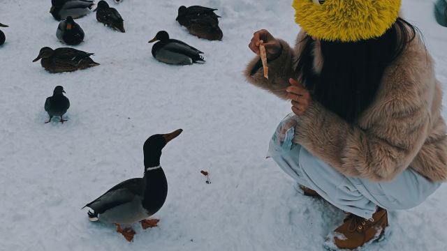 世界上最大的水库