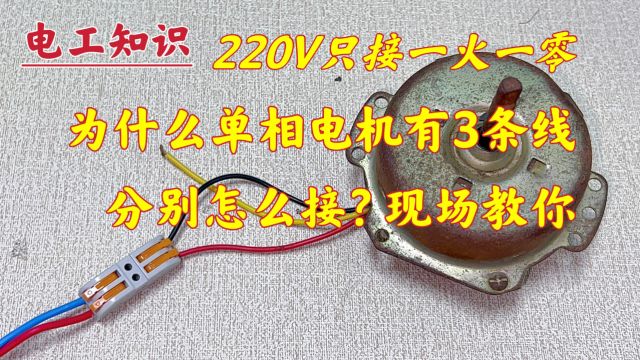 单相电机:只接零火线,为什么它有3根线?分别怎么接?现场教你