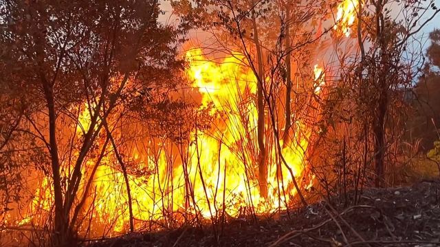 云南临沧临翔区山火已扑灭,3人扑火过程中身亡