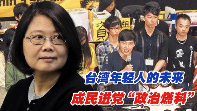 反思“太阳花运动”:台湾年轻人的未来成民进党“政治燃料”