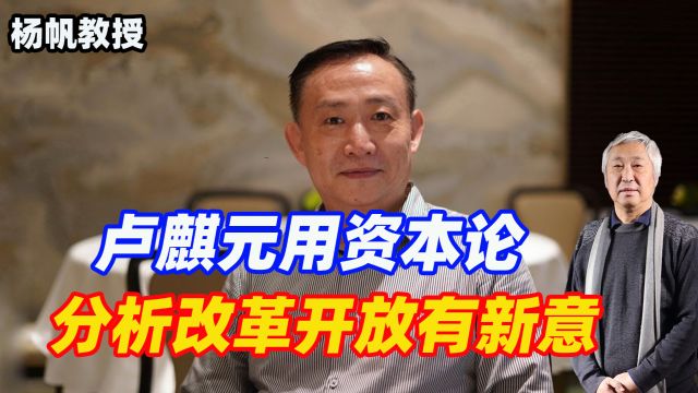 卢麒元用资本论分析改革开放有新意,大家角度不同可以讨论