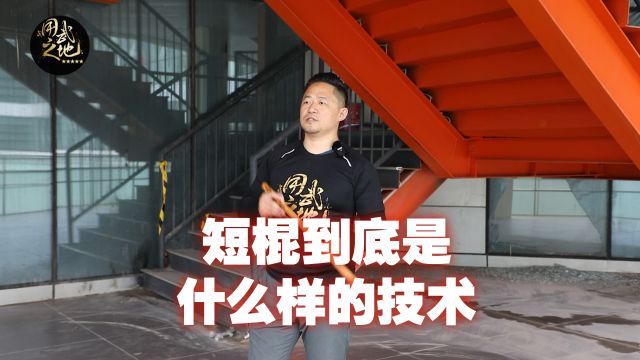 短棍到底是什么样的技?正确的认知短棍技术,学习效率倍增!