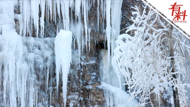 山东潍坊雪后景色美如画 冬季限定“皮肤”别具特色