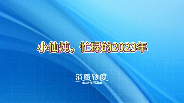 小仙炖,忙碌的2023年