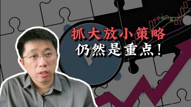 抓大放小策略仍然是重点!