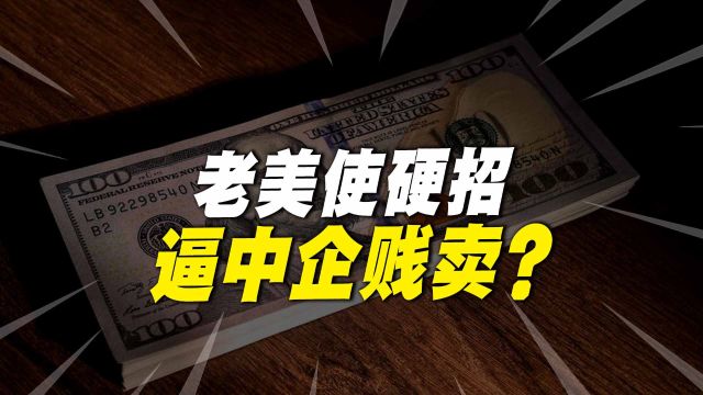 老美借钱无果,发出“禁令”,中国企业如何应对?