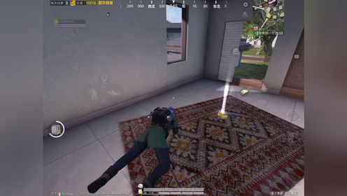 子木仙13：卧底模式抓地皮仔太爽了，不用去辐射区就能收获满满！_高清1080P在线观看平台_腾讯视频