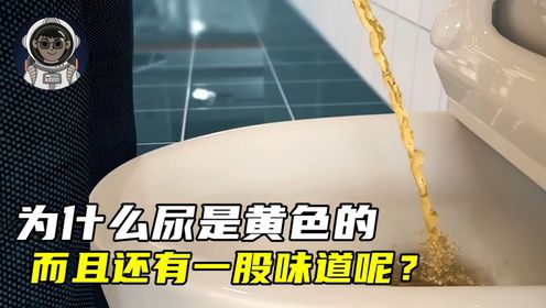 为什么尿液是黄色的，而且还有一股味道呢？_高清
