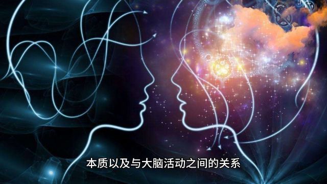 大脑科学:探索思维的奥秘