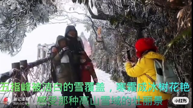 五指峰景区,俯瞰整个莽山,被洁白雪覆盖,寒霜成冰雕壮丽景观