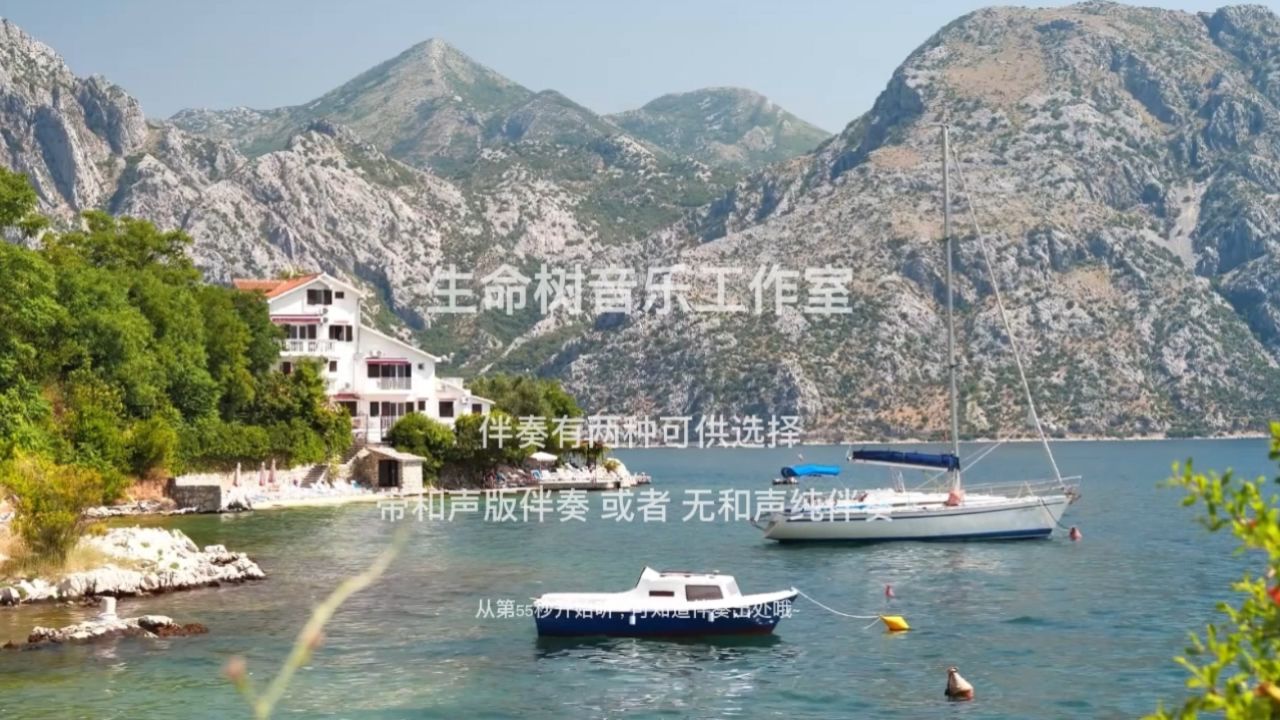 王卓 朋友珍重歌 无和声伴奏 高清纯伴奏