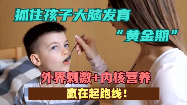 抓住孩子大脑发育“黄金期”外界刺激+内核营养,赢在起跑线!