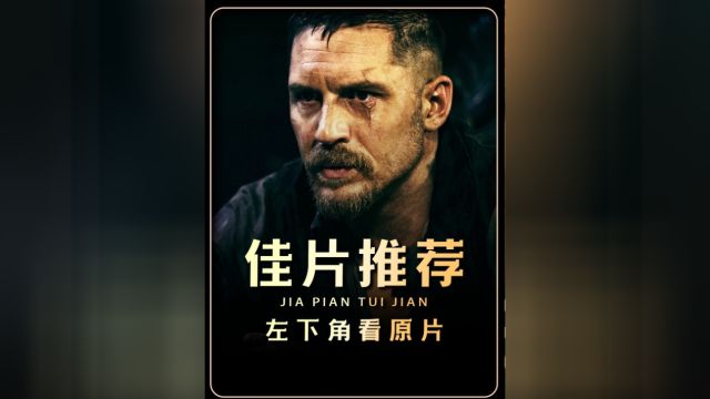 真实还原维系政权对犹太人迫害的历史电影!