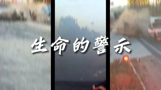 生命的警示|2024年道路交通安全警示教育片