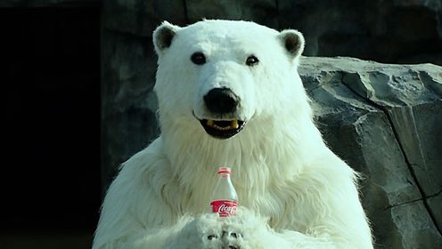 爱喝可乐的北极熊，你见过吗