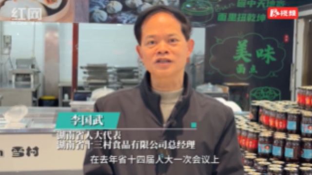 人民的代表︱李国武:以高品质消费促进高质量发展